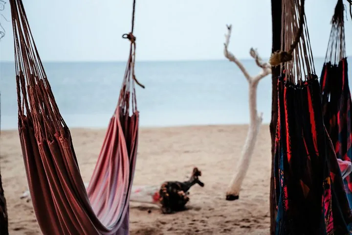 Colorful hammocks hanging on a beach with a view of the ocean.